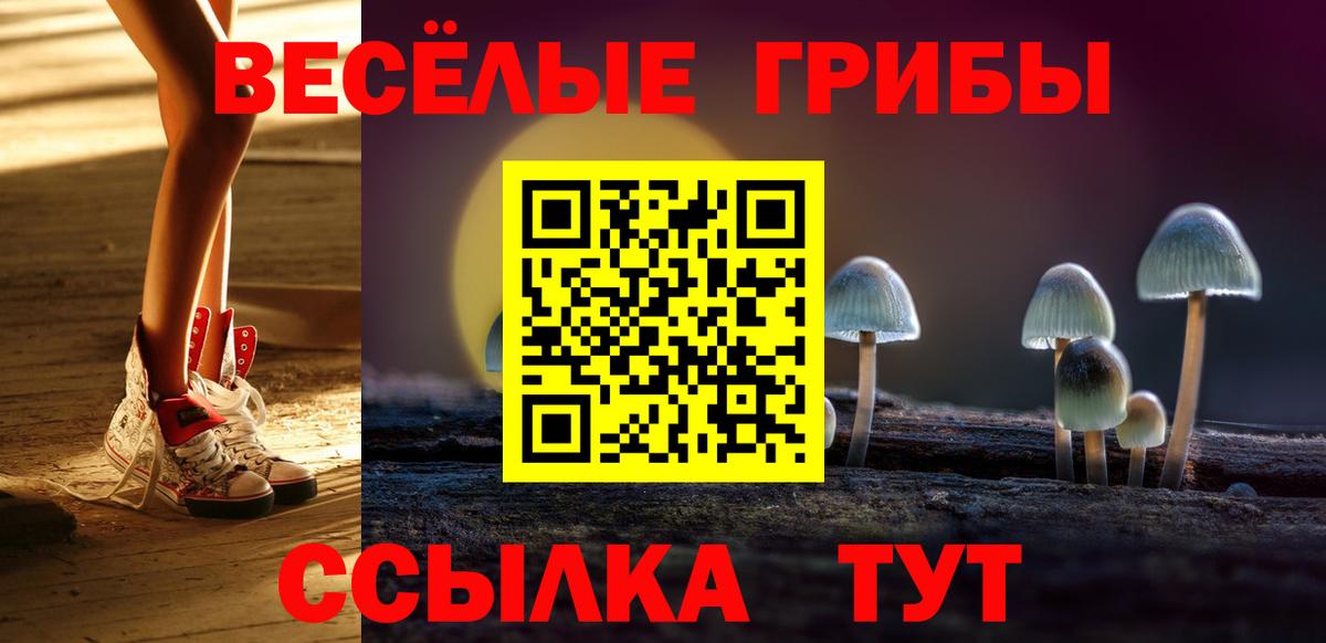 Коломна  Псилоцибиновые грибы мицелий  Псилоцибиновые грибы ЛСД  Вход с VPN 