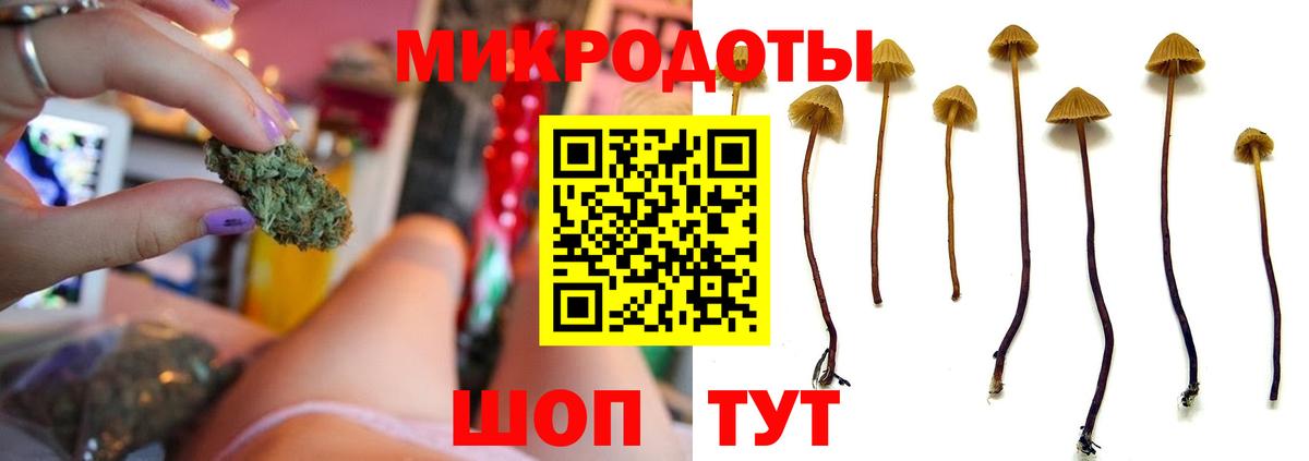Галлюциногенные грибы Cubensis Коломна